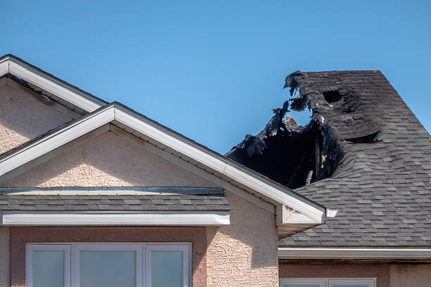 Top rated local Emergency Fire Cleanup specialists in South Haven, MN